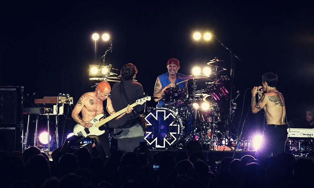 Flea con el pelo rosado